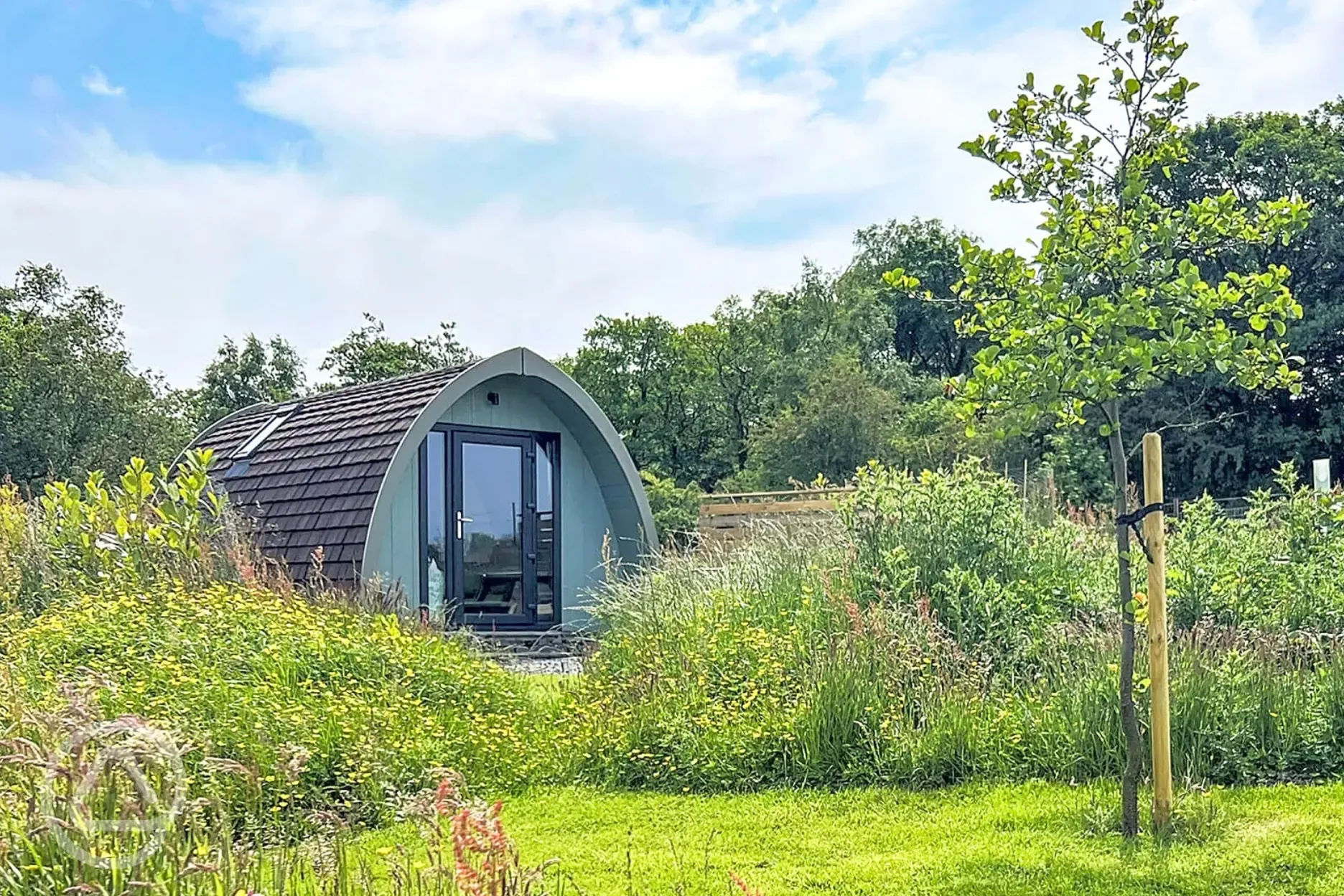 Glamping pod with planting around for privacy