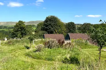 Glamping pods tucked surrounded by bushes and grass areas