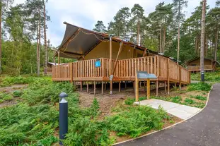 The Sandringham Estate Experience Freedom Glamping, Sandringham, Norfolk