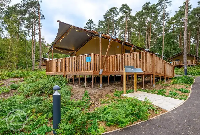 Woodland safari tents at The Sandringham Estate Experience Freedom Glamping