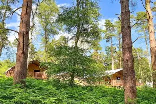 The Sandringham Estate Experience Freedom Glamping, Sandringham, Norfolk The Sandringham Estate Experience Freedom Glamping, Sandringham, Norfolk