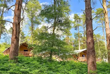Woodland safari tents at The Sandringham Estate Experience Freedom Glamping