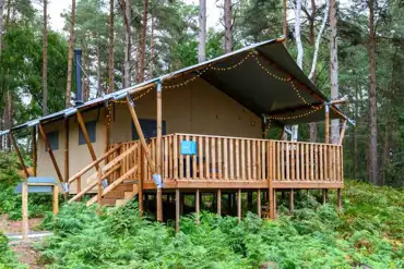Woodland safari tent at The Sandringham Estate Experience Freedom Glamping