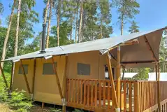 Premium Safari Tent with step access amongst the woodland