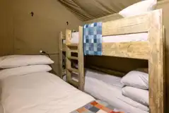 Premium Safari Tent bedroom with a bunk and single bed (bedding provided)