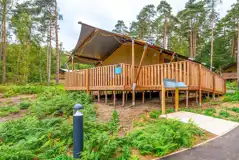 Deluxe Safari Tent at The Sandringham Estate Experience Freedom Glamping