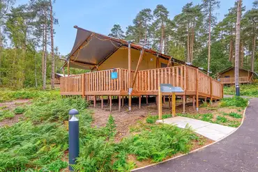 Woodland safari tents at The Sandringham Estate Experience Freedom Glamping