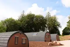 Back of the pods with tiered levels and bark chipping between