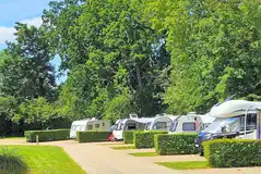 Fully serviced hardstanding pitches with dividing hedges