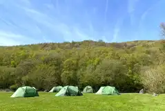 Non electric grass tent pitches