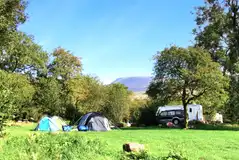 Grass tent pitches (some with electric hook ups available)