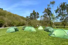 Non electric grass tent pitches