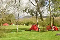 Non electric grass tent pitches