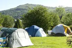 Grass tent pitches (some with electric hook ups available)