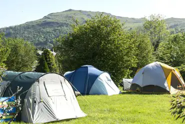 Grass tent pitches (some with electric hook ups available)