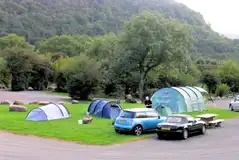 Grass tent pitches (some with electric hook ups available)