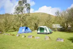 Grass tent pitches (some with electric hook ups available)