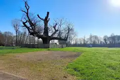 Hardstanding pitches with an optional electric hook up (9m x 3m) Hardstanding pitches with an optional electric hook up (9m x 3m)