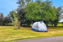 Grass tent pitches (5m x 5m) with optional 16 amp electric Grass tent pitches (5m x 5m) with optional 16 amp electric