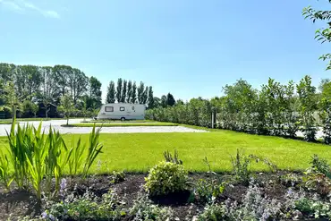 Grass and planting between pitches at Holly Tree Nook