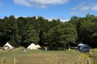 Meadowfields Campsite, Totnes, Devon
