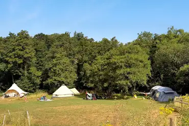 Tents in the bottom field at Meadowfields Campsite