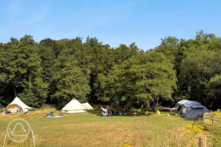 Tents in the bottom field at Meadowfields Campsite