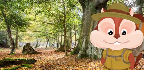 Woodrow in the forest
