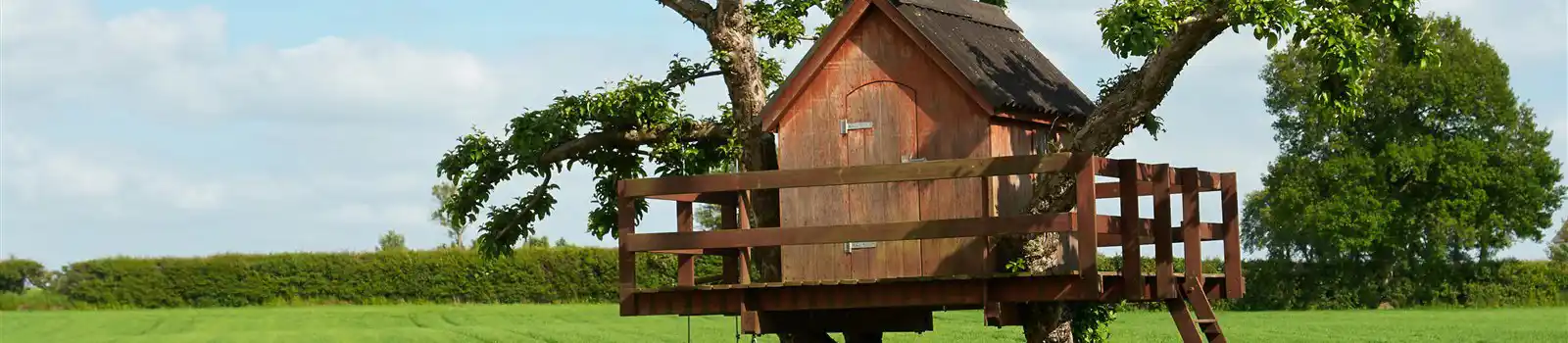 Treehouse