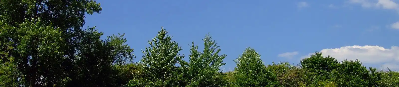 Small campsites