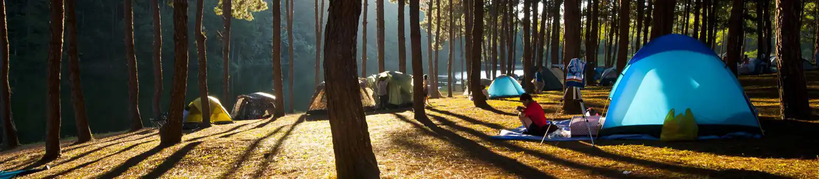 Woodland and forest campsites