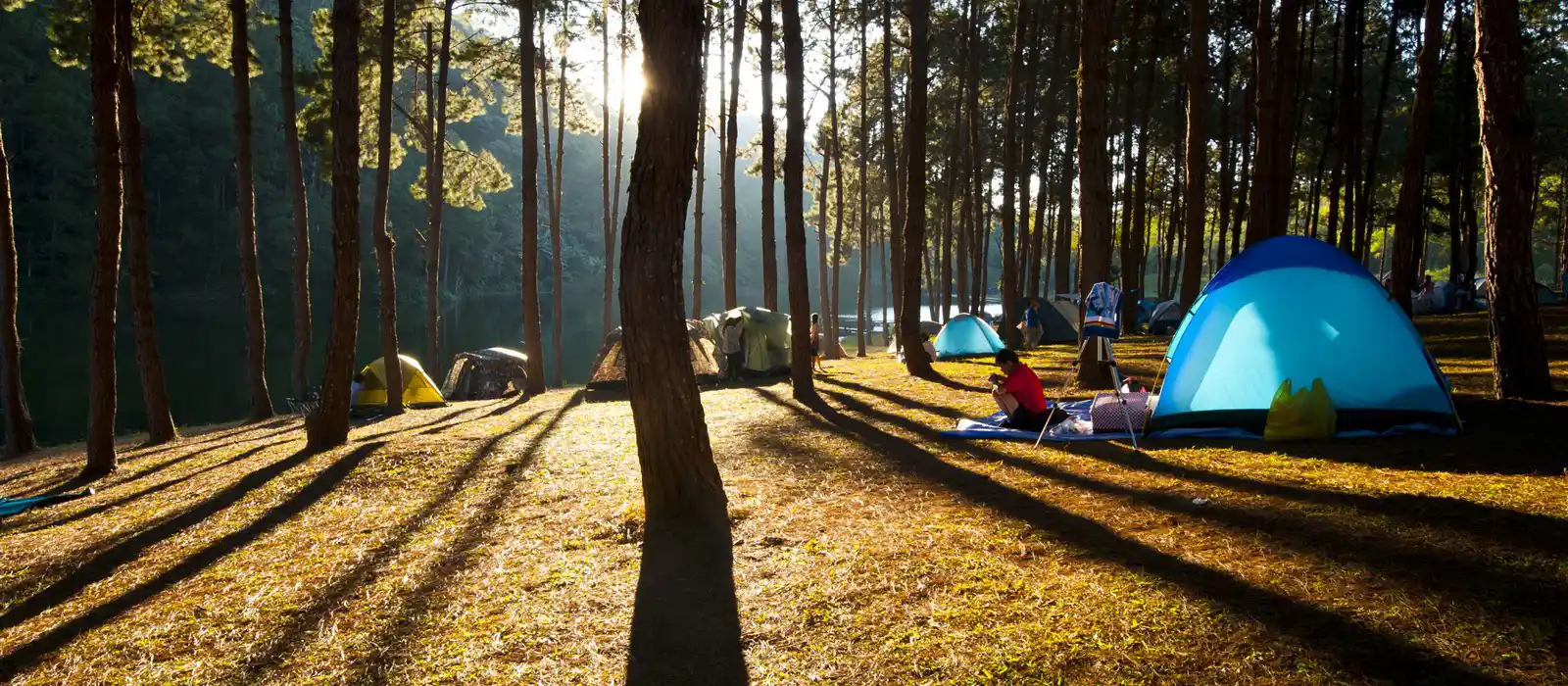 Woodland and forest campsites
