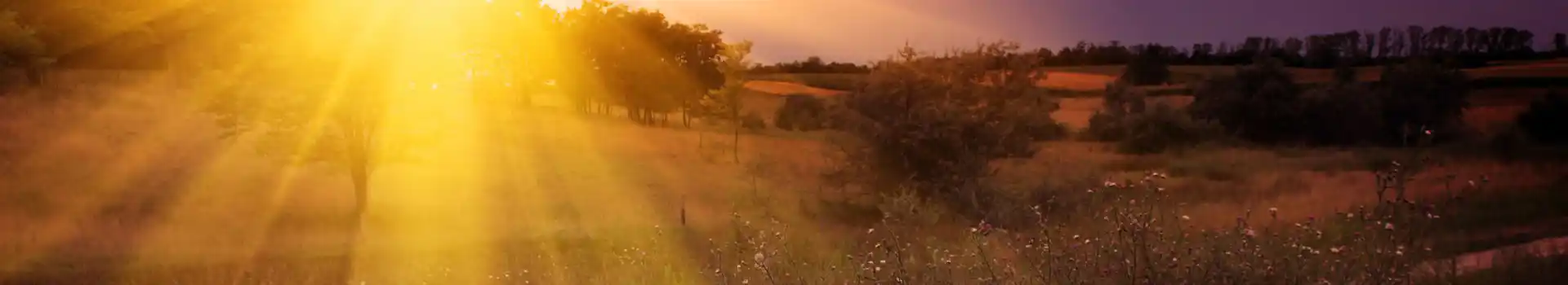 Campsites who don't charge summer premiums