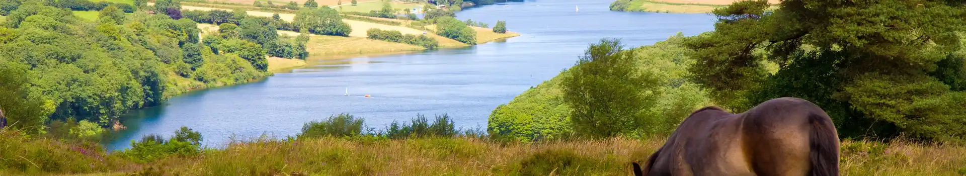 Campsites in Exmoor National Park