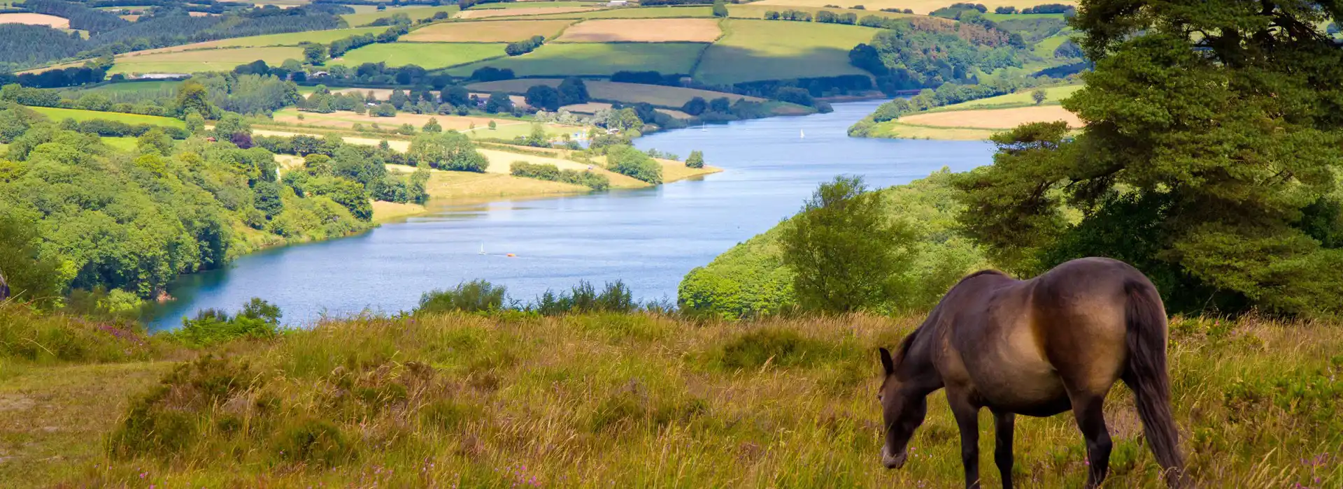 Campsites in Exmoor National Park