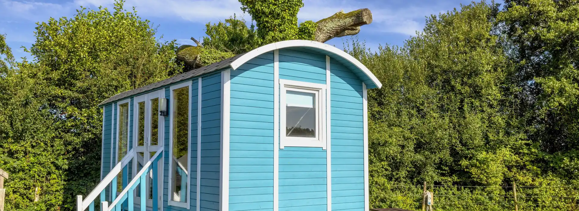 Glamping in the New Forest