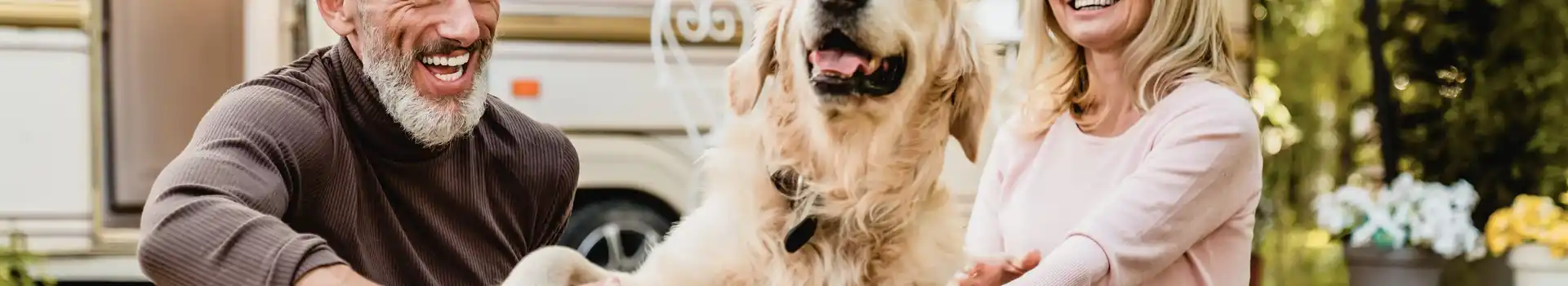 Dog friendly caravan parks