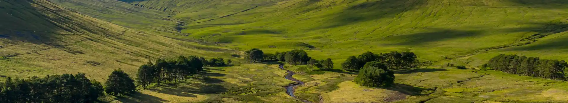 Campsites near Pen y Fan