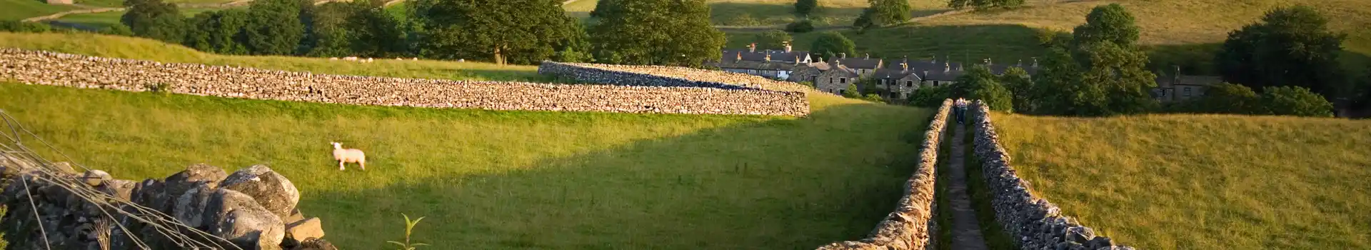 Camping pods in the Yorkshire Dales
