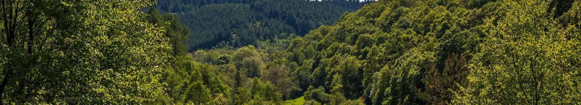 Campsites near Dalby Forest