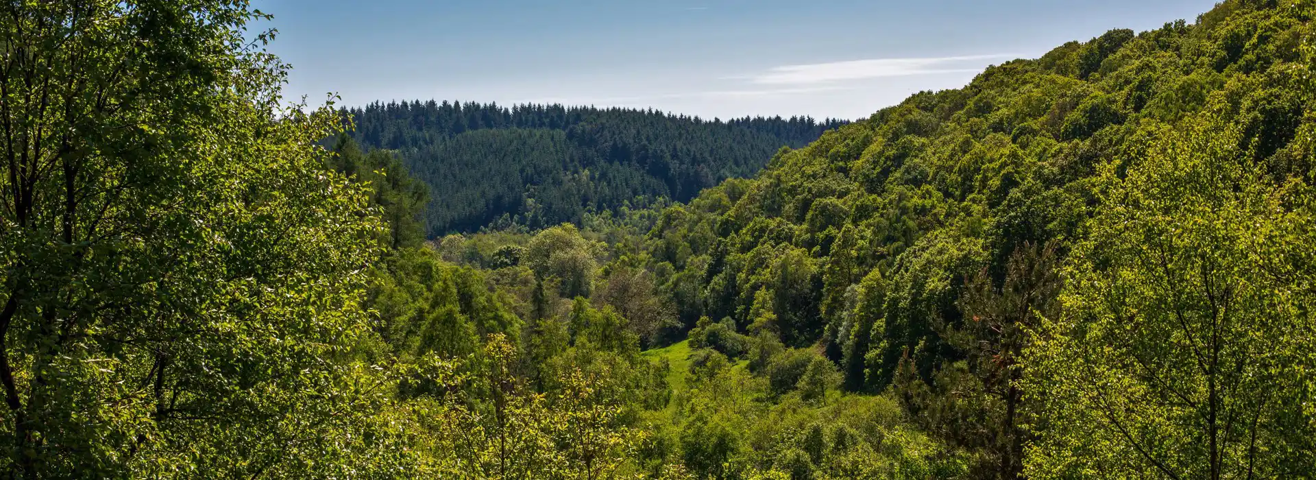 Campsites near Dalby Forest