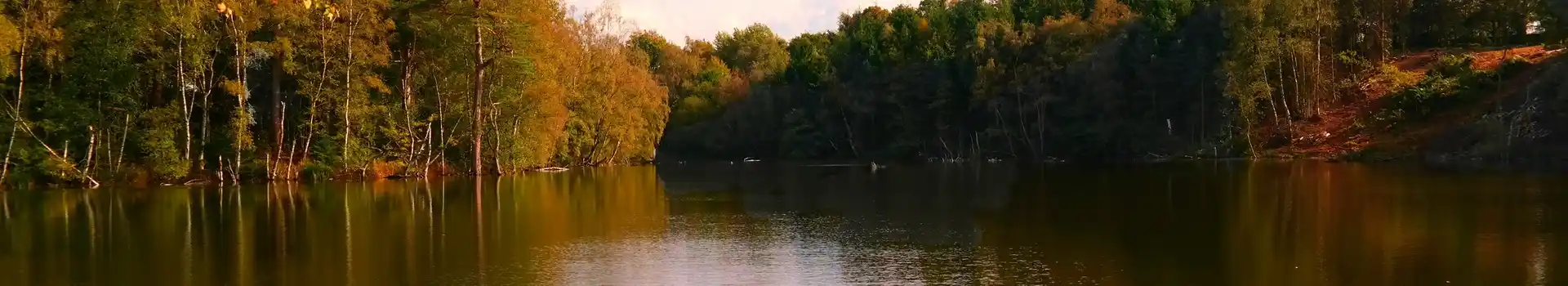 Campsites near Delamere Forest 