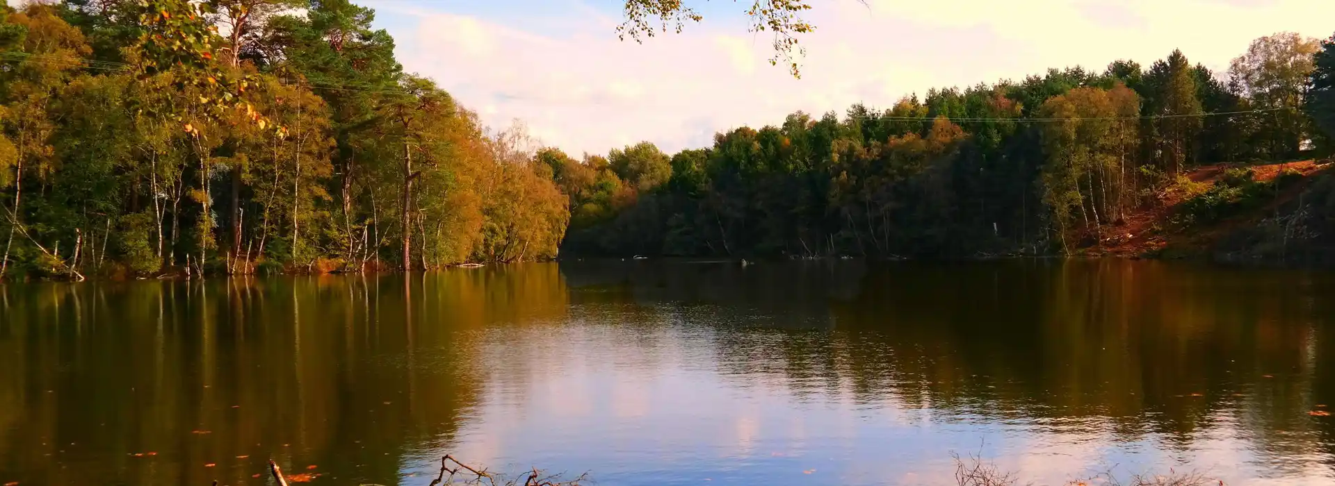 Campsites near Delamere Forest 