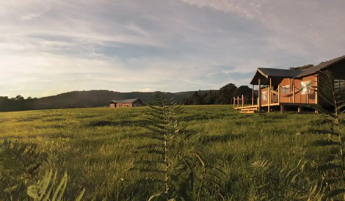 Lantern and Larks glamping