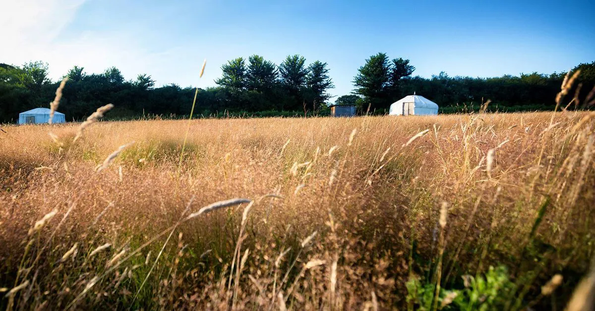 Yurts in Devon the best yurt glamping holidays in Devon