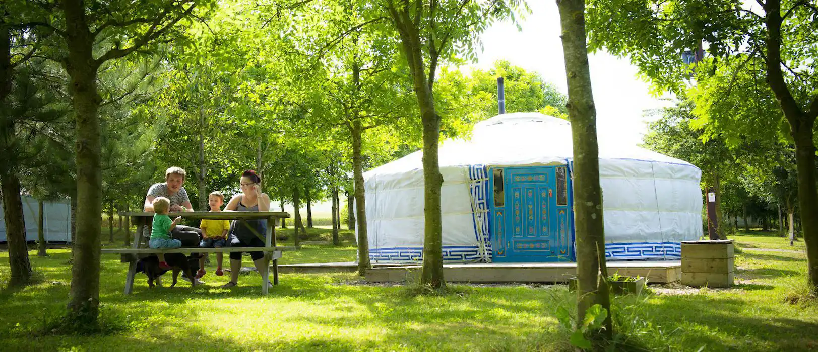 Yurt holidays in Hampshire