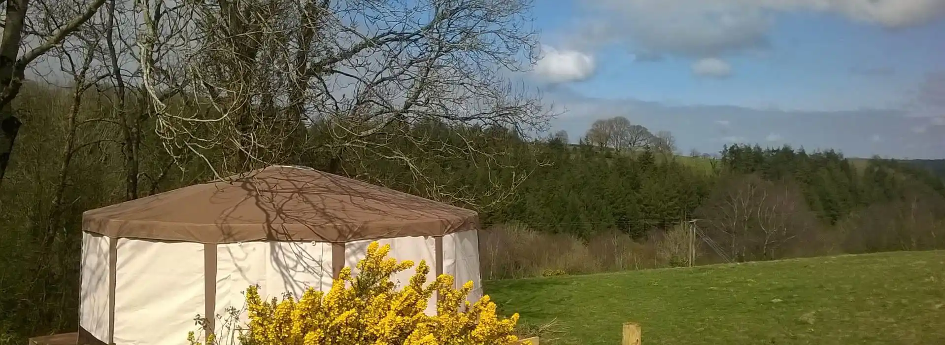 Yurts in Pembrokeshire