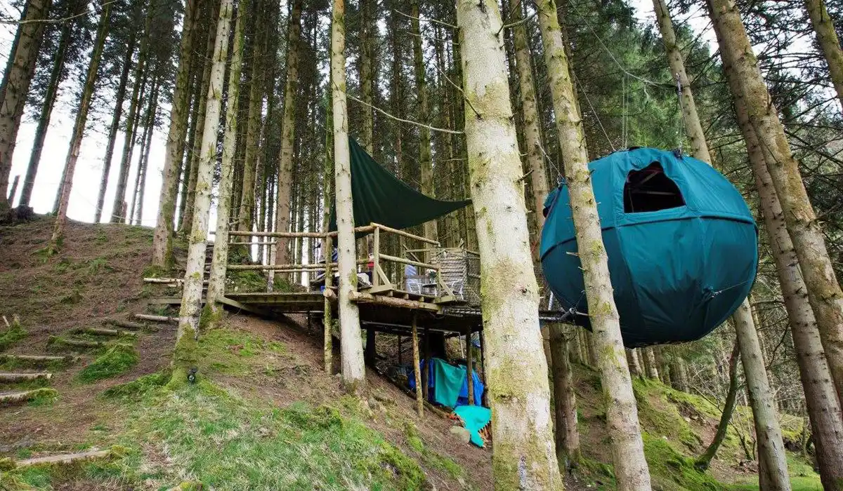 Tree tent holidays quirky tree top glamping breaks in the U.K