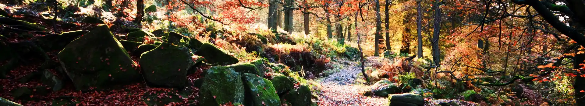 campsites open all year in Derbyshire