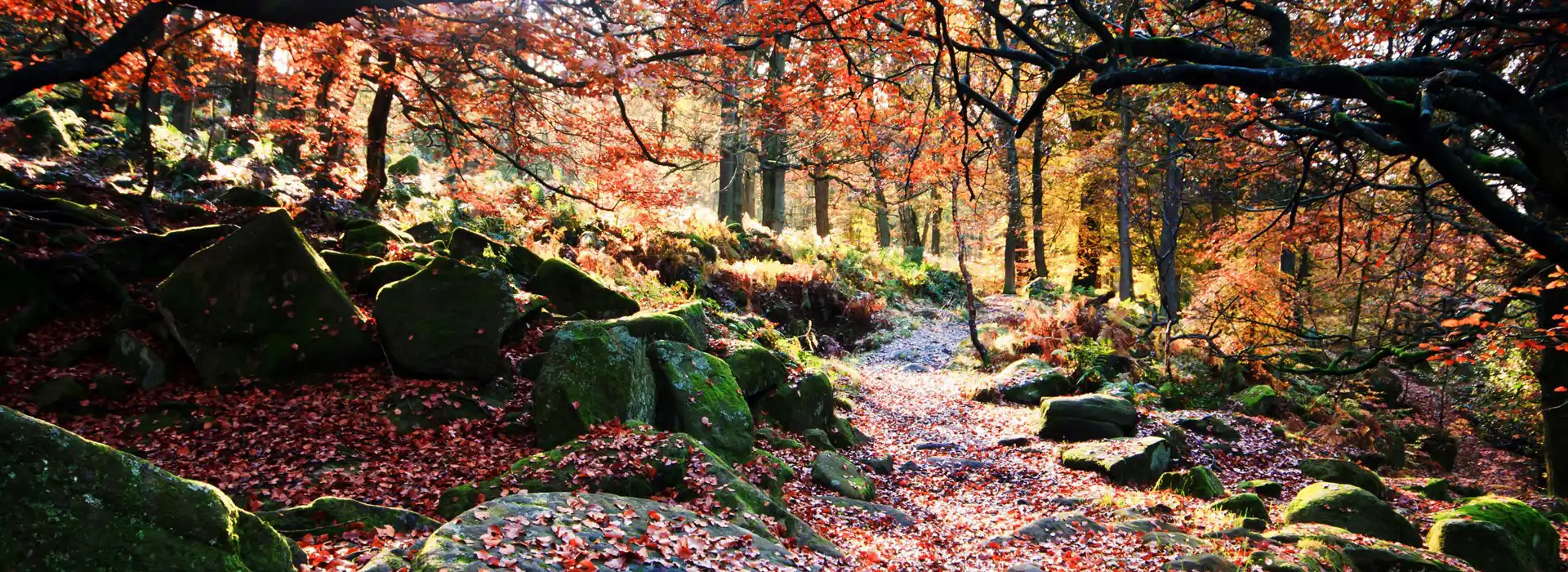 campsites open all year in Derbyshire